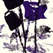 Sachiko and Junko Mochizuki Gallery